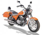 2012 Clipic Guepard 250cc photo